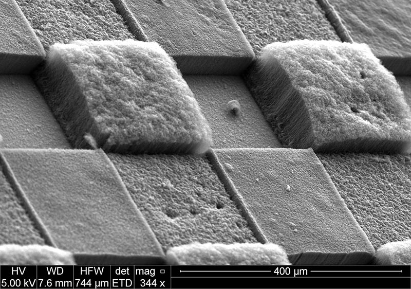 Carbon nanotubes growing in checkerboard pattern
