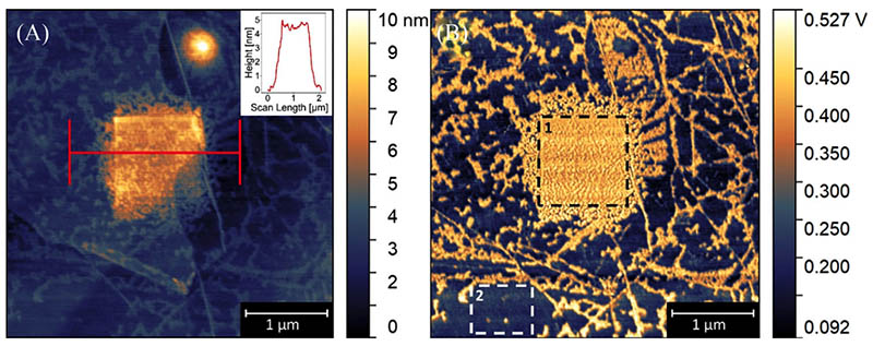 Topology (A) and phase (B) imagery of the functionalized zone after zinc oxide atomic layer deposition.